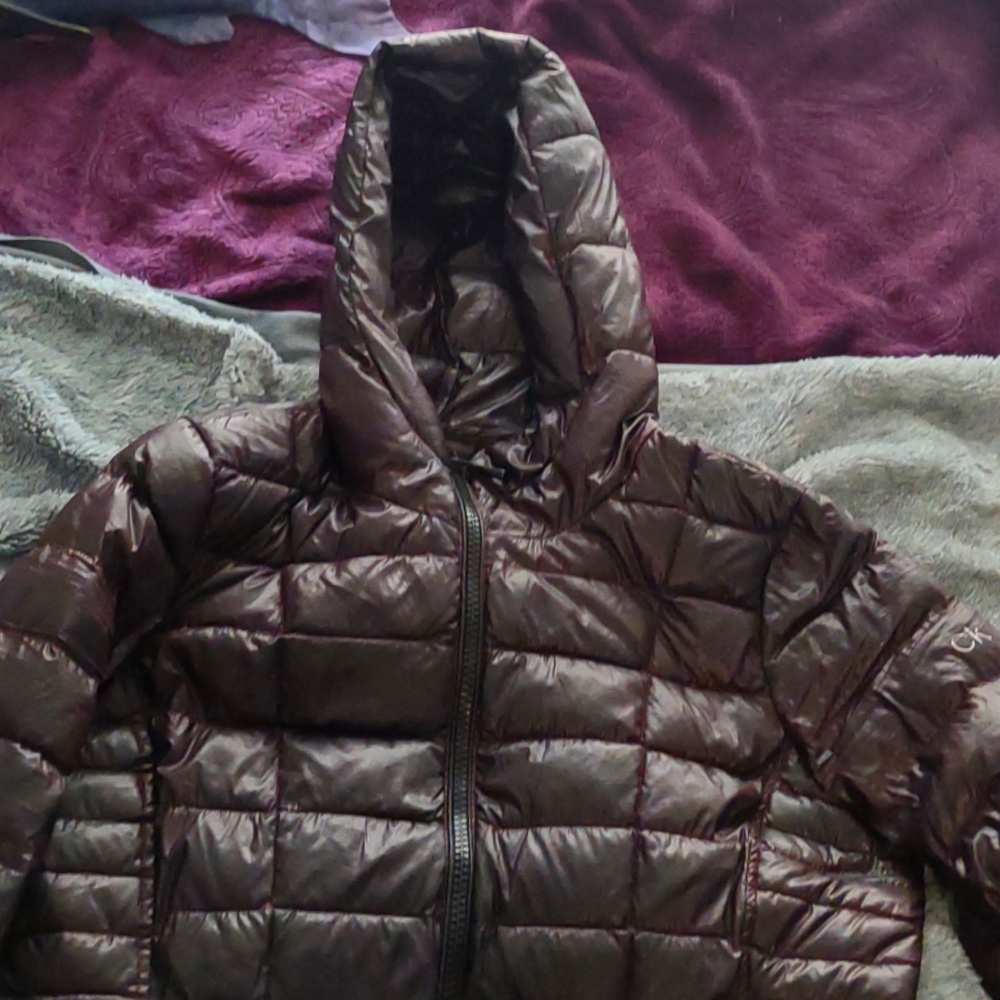 Calvin Klein maroon/ off black coat